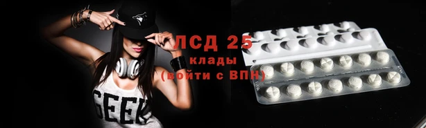 PSILOCYBIN Краснослободск