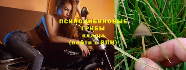 крисы Алексеевка